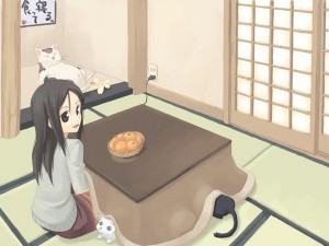 kotatsu anime