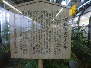 kayashima station 13